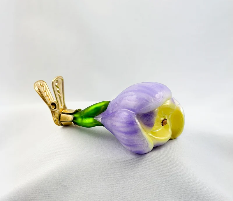 Krokusblüte mit lila und gelben Blütenblättern am Clip