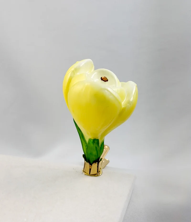 Krokusblüte gelb am Clip