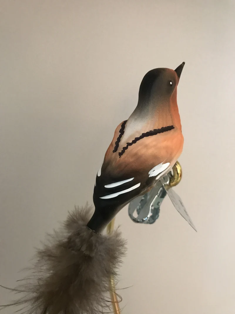 Bergfink