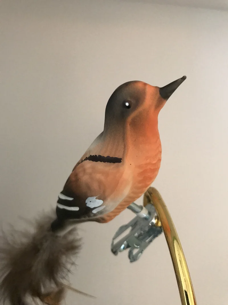 Bergfink