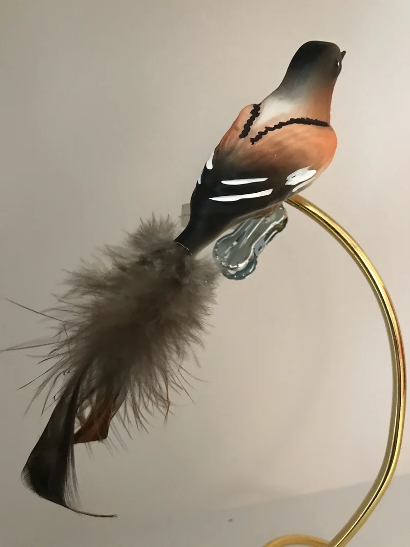 Bergfink