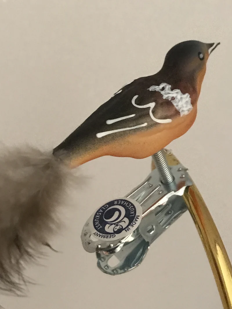 Kleiner Buchfink