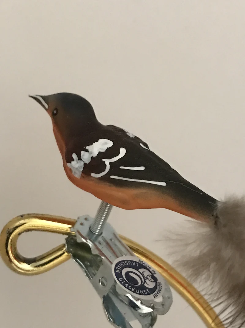 Kleiner Buchfink