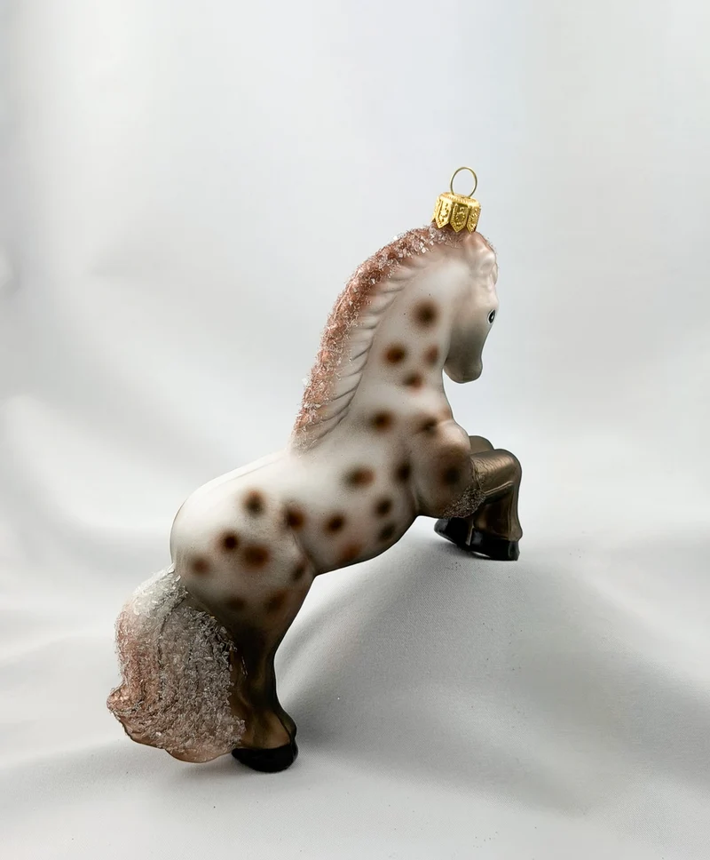 Appaloosa Stute, Pferd