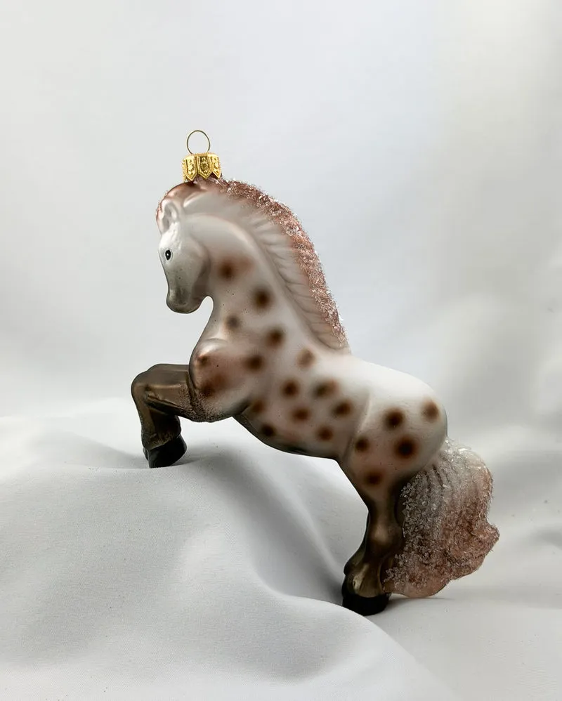 Appaloosa Stute, Pferd