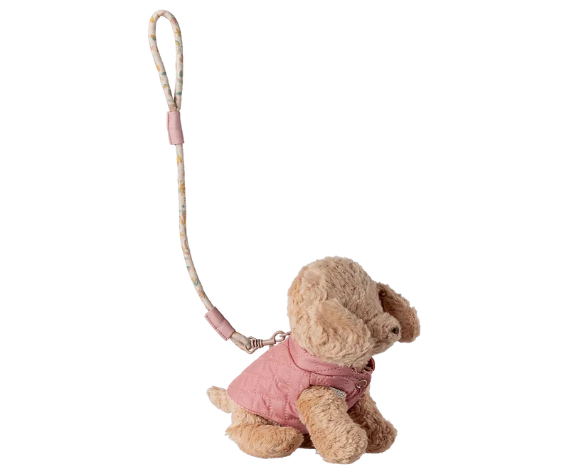 Haustierhalsband und Leine, Rosa