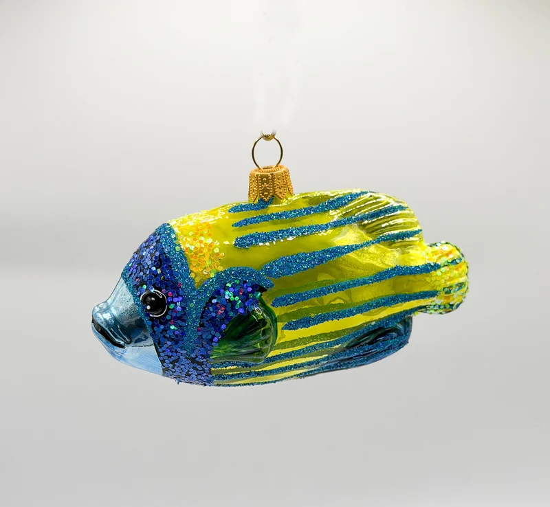 Blaukopf-Kaiserfisch Rifffisch