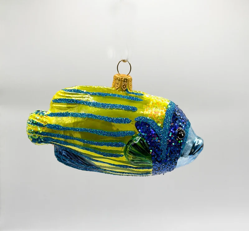 Blaukopf-Kaiserfisch Rifffisch