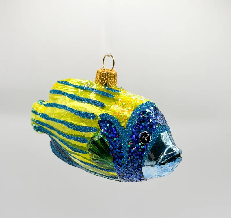 Blaukopf-Kaiserfisch Rifffisch
