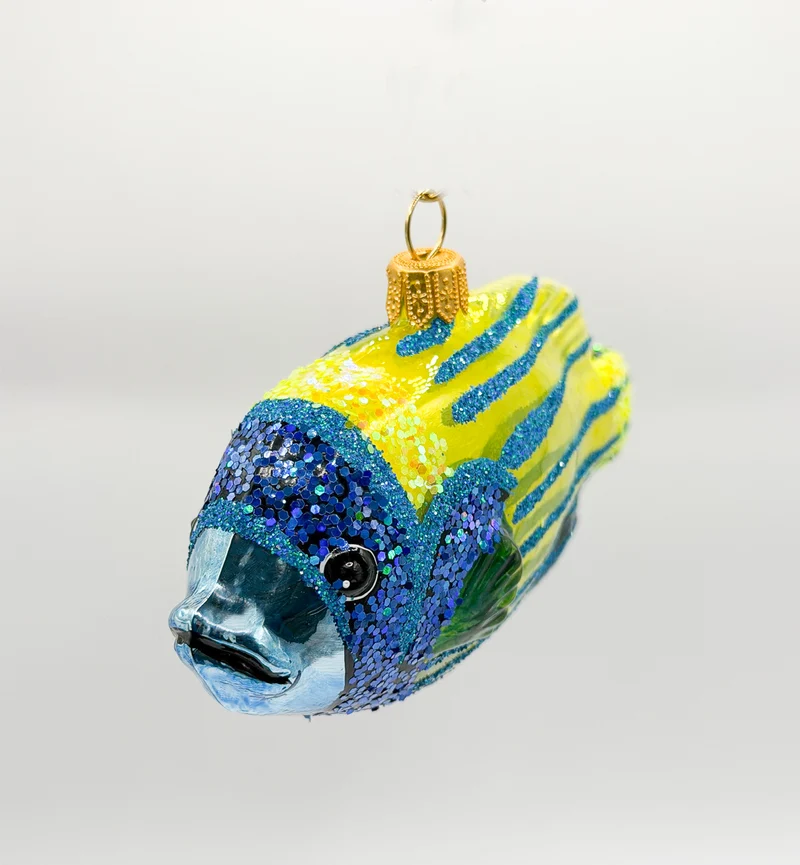 Blaukopf-Kaiserfisch Rifffisch