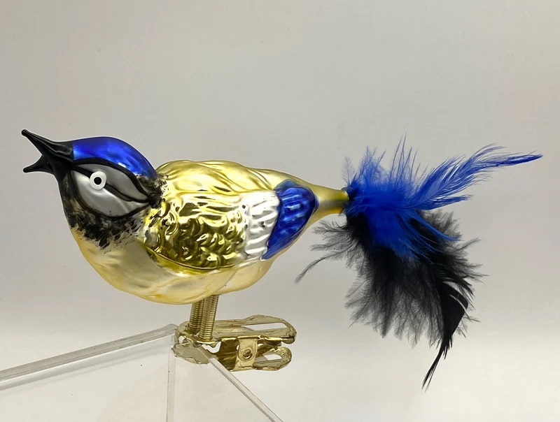 Zwitschernde Blaumeise auf Clip mit Naturfeder