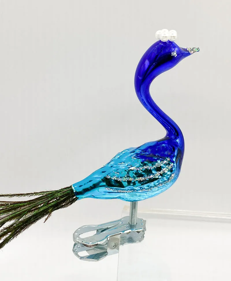 Kleiner blauer Pfau mit Pfauenfeder