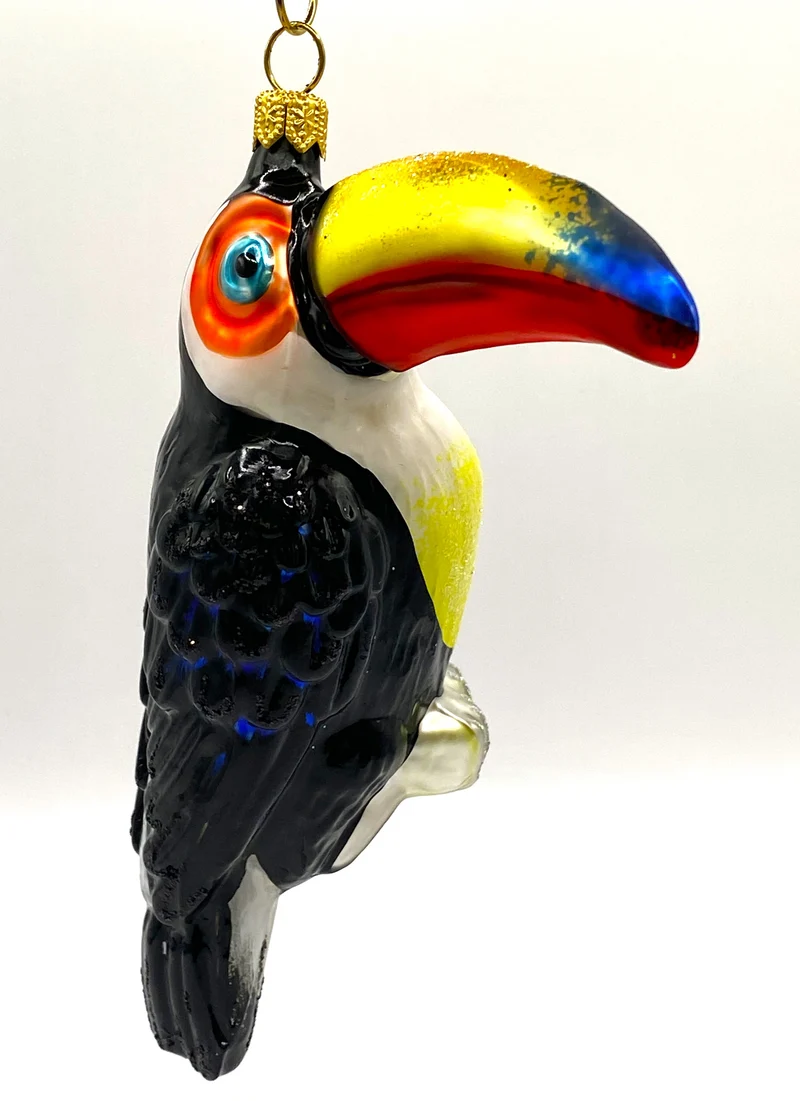 Tukan sitzend