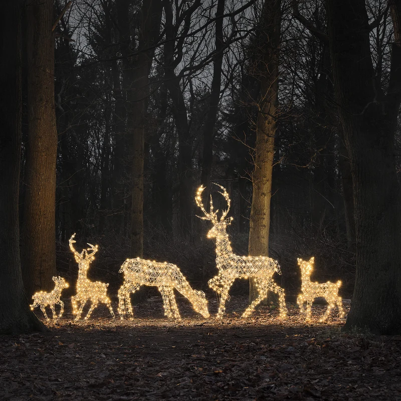 5er Set LED-Rentierfamilie XL Studley