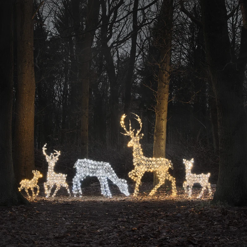 5er Set LED-Rentierfamilie XL Studley