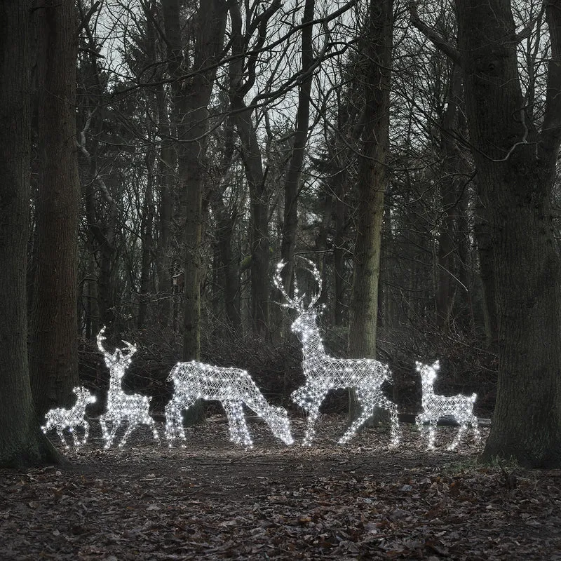 5er Set LED-Rentierfamilie XL Studley