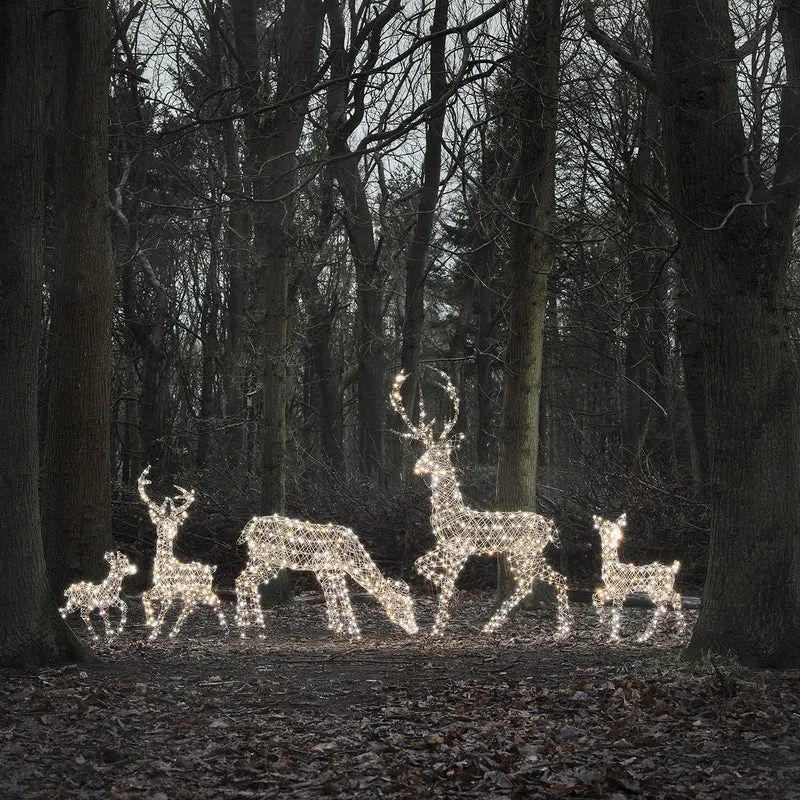5er Set LED-Rentierfamilie XL Studley