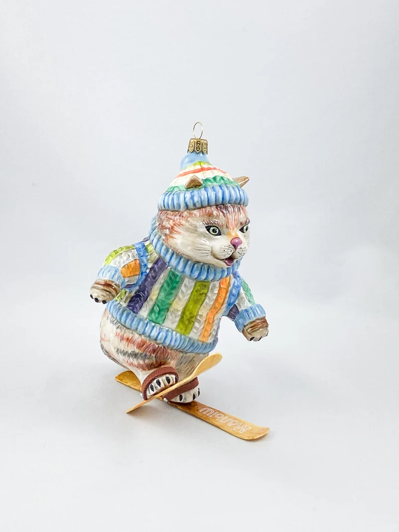 Die Katze im bunten Pullover versucht sich im Ski-Fahren ATLASART