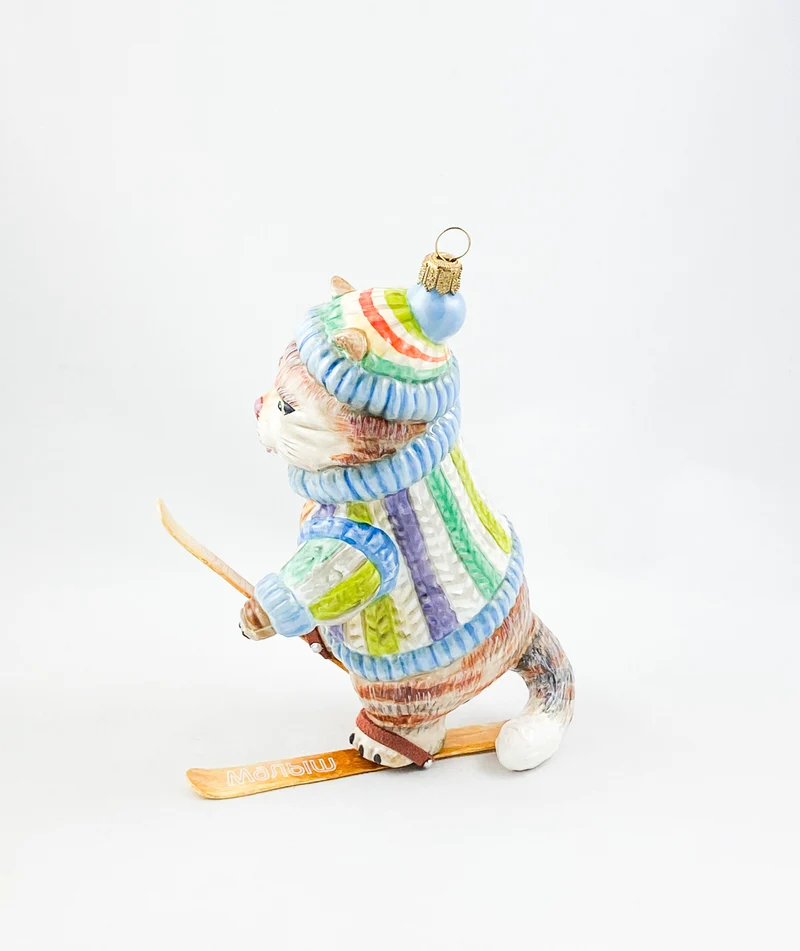 Die Katze im bunten Pullover versucht sich im Ski-Fahren ATLASART