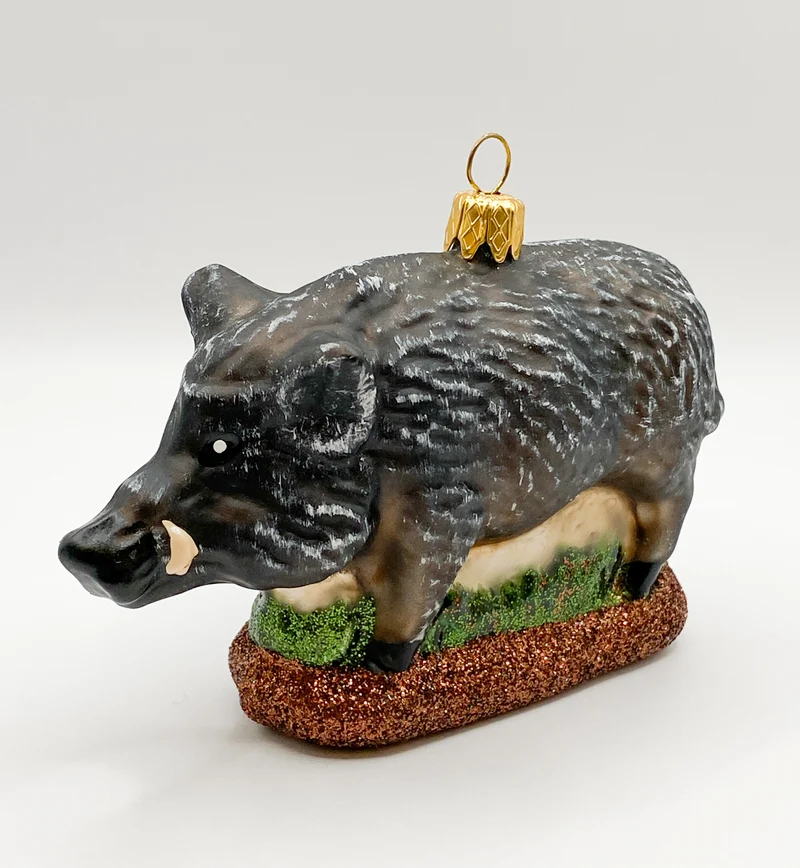 Schwarzer Keiler, Wildschwein