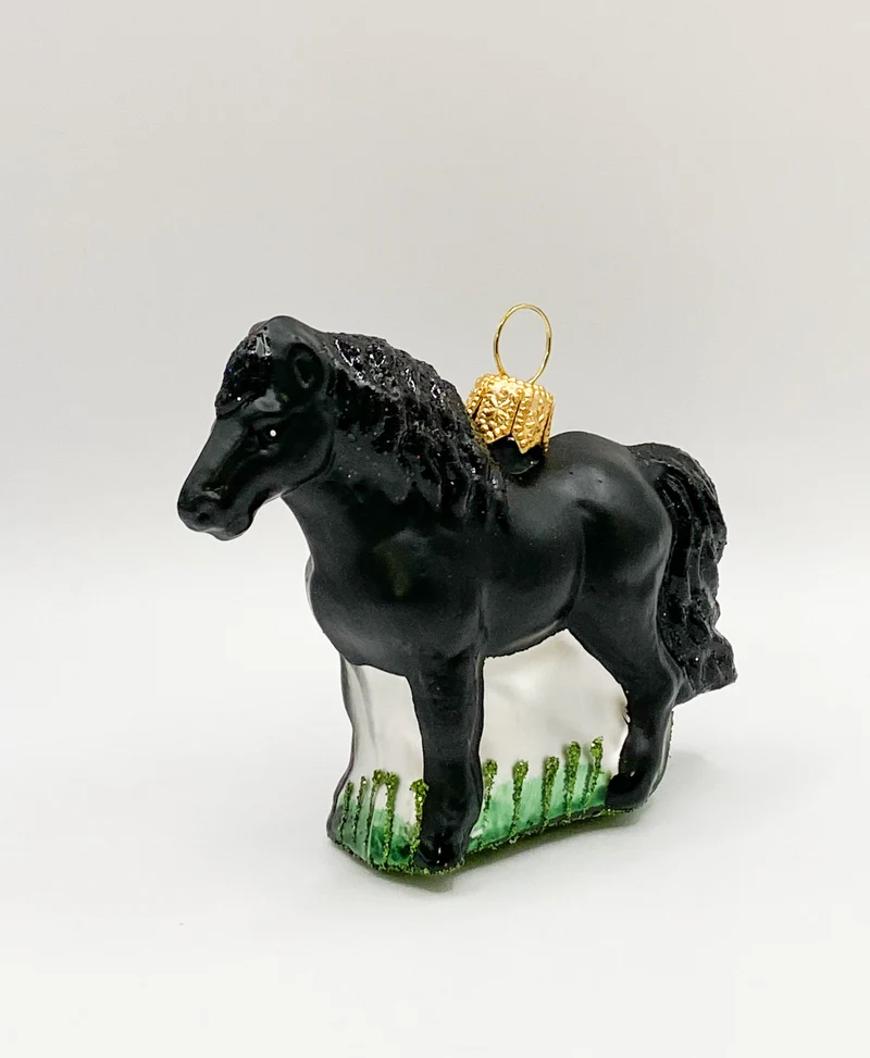 Kleines schwarzes Pferd