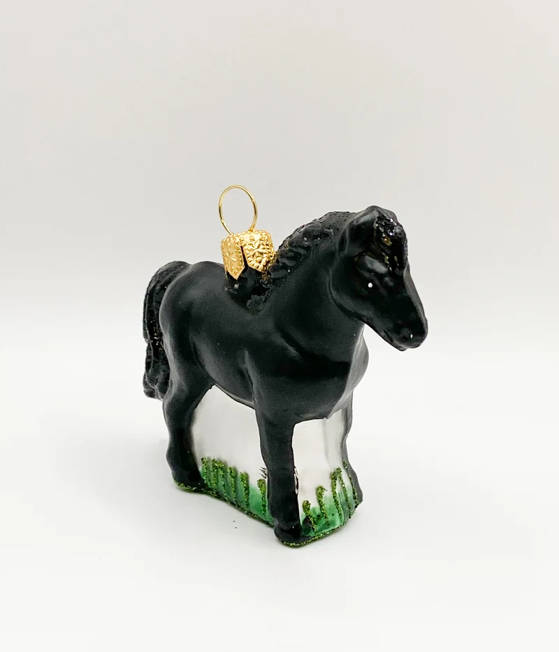 Kleines schwarzes Pferd