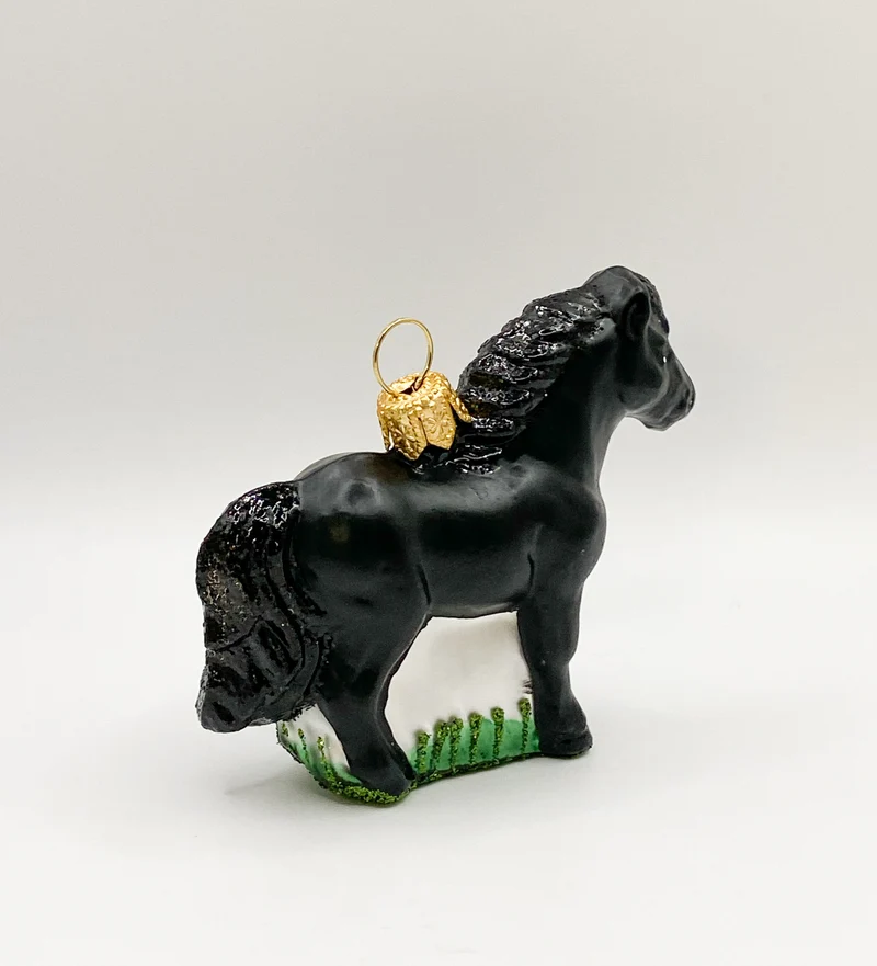 Kleines schwarzes Pferd