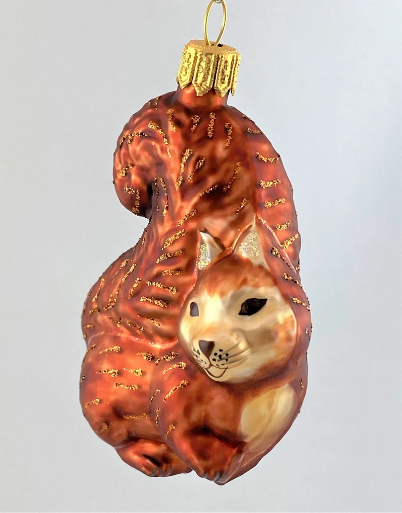 Verschmitztes Eichhörnchen