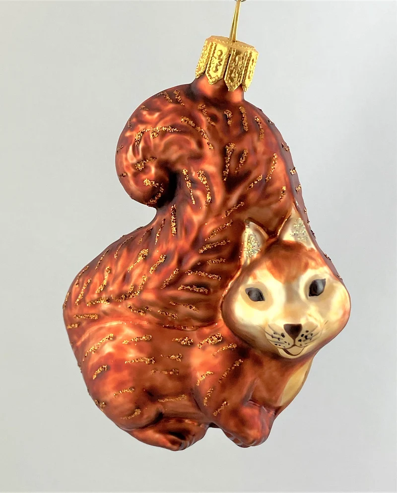 Verschmitztes Eichhörnchen
