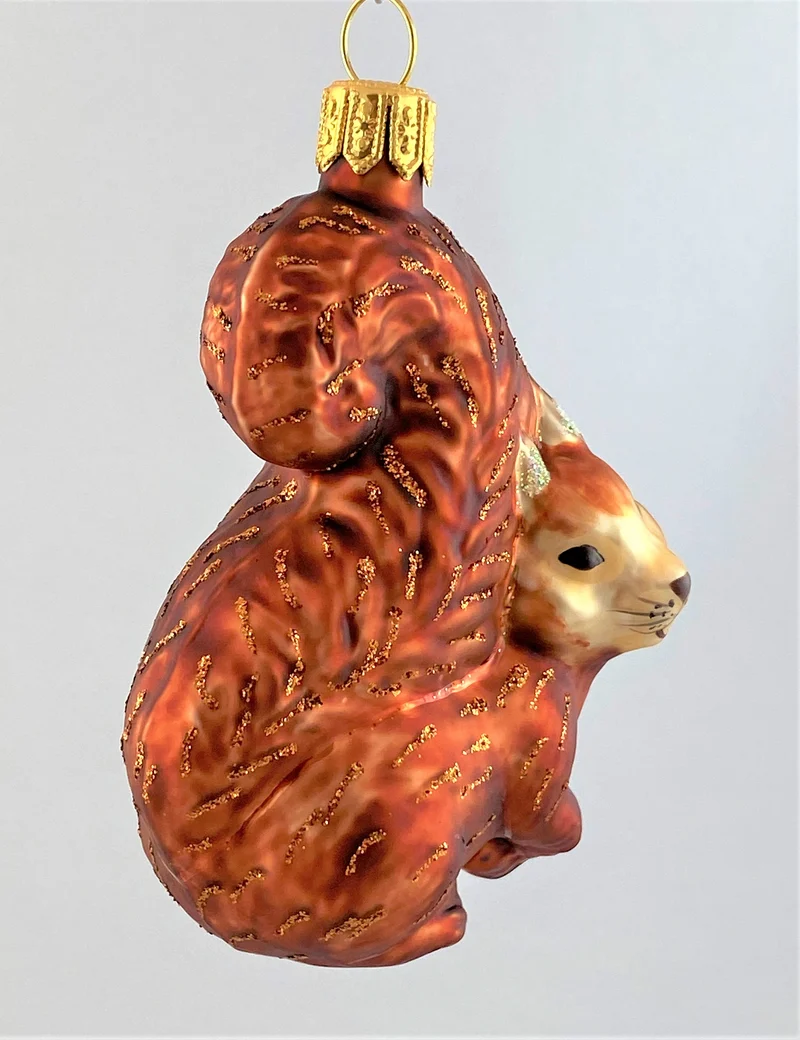 Verschmitztes Eichhörnchen