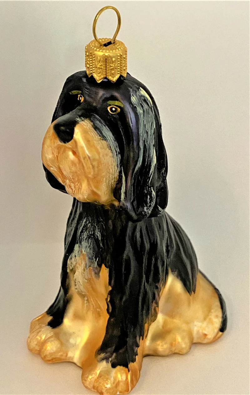 Bearded Collie