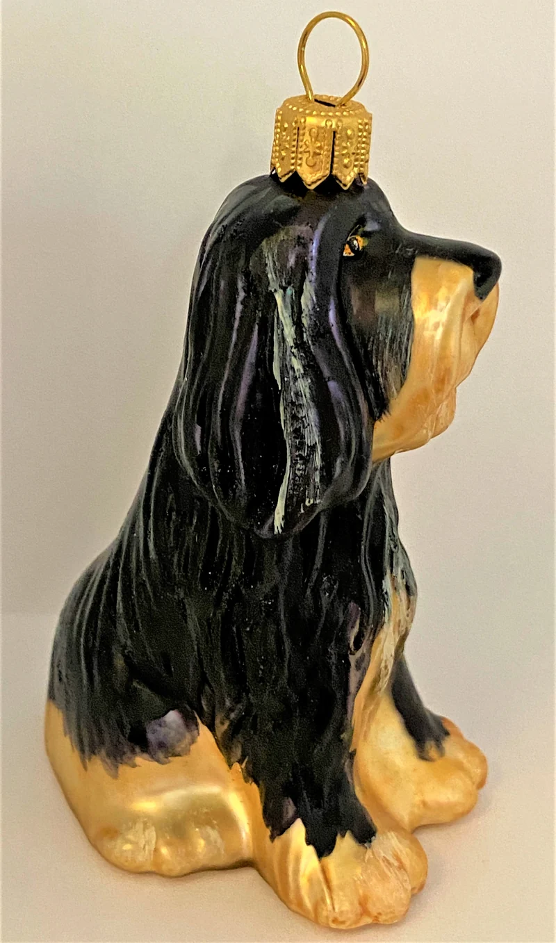 Bearded Collie