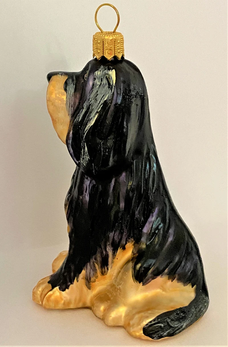 Bearded Collie