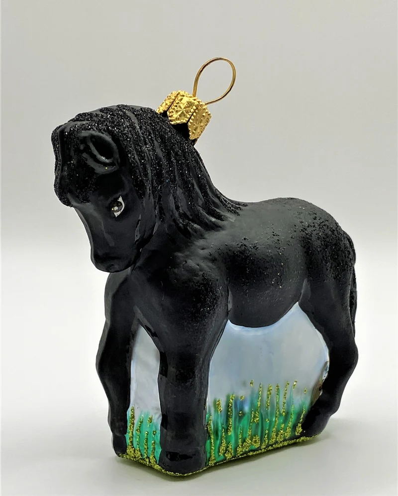Kleines schwarzes Pferd