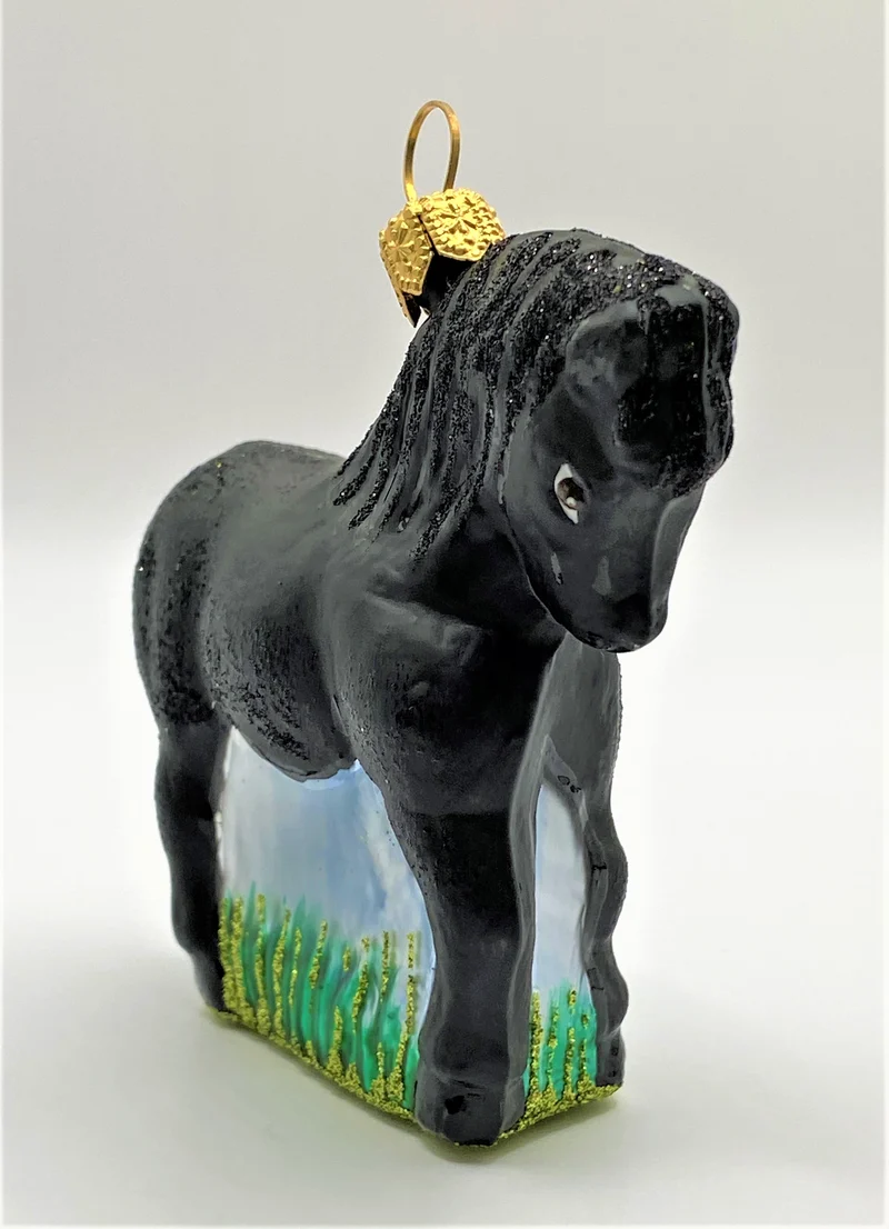 Kleines schwarzes Pferd