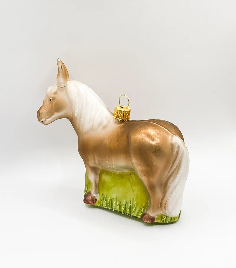 Shetland-Pony