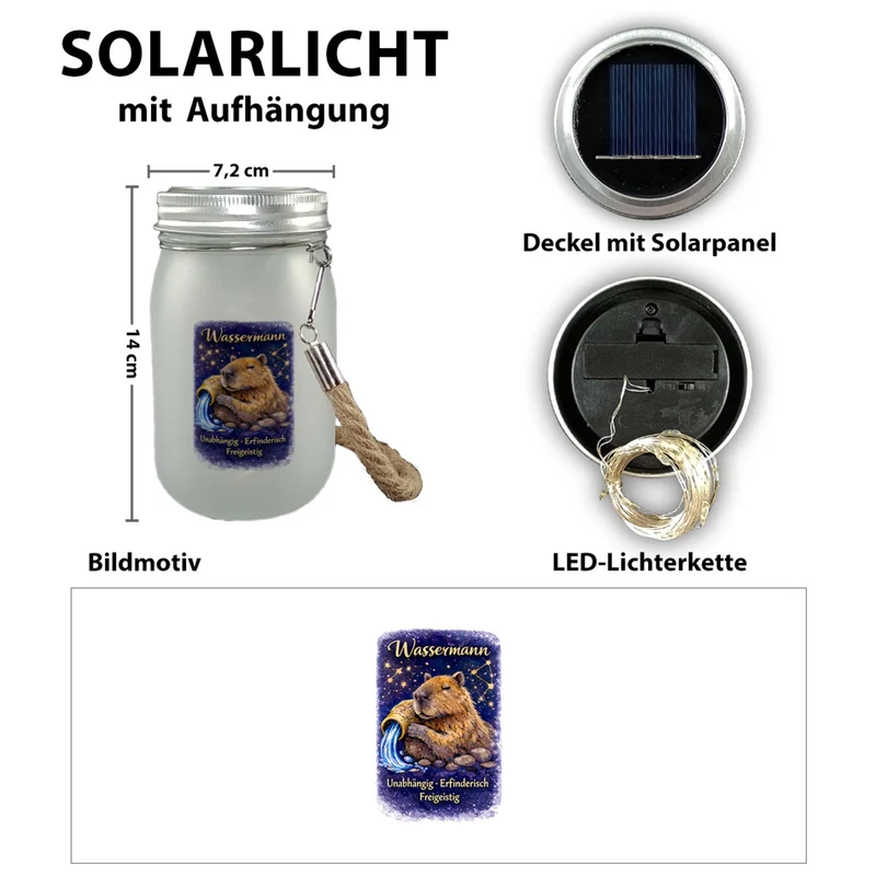 Wassermann Sternzeichen Cabybara Solarlicht für Astrologie Fans