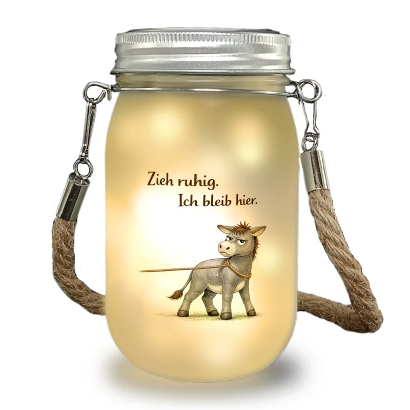 Eddi Esel Zieh ruhig Ich bleib hier Solarlicht für Eselfans
