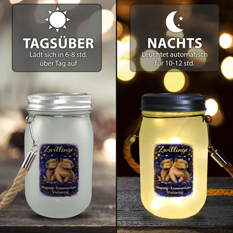 Zwilling Sternzeichen Cabybara Solarlicht für Astrologie Fans