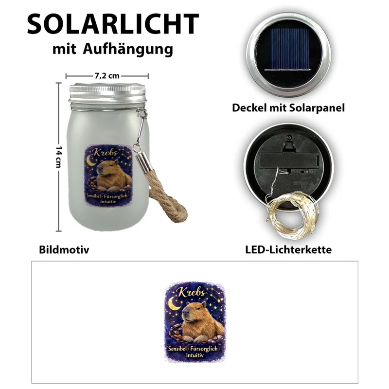 Krebs Sternzeichen Cabybara Solarlicht für Astrologie Fans
