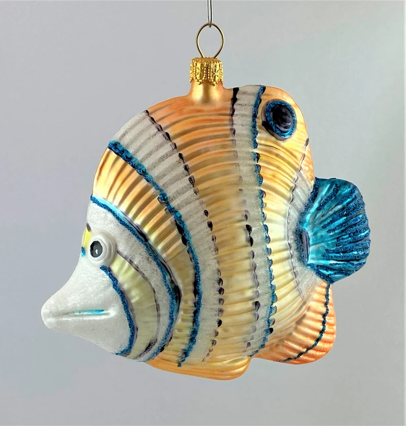 Doktorfisch mit blauer Flosse