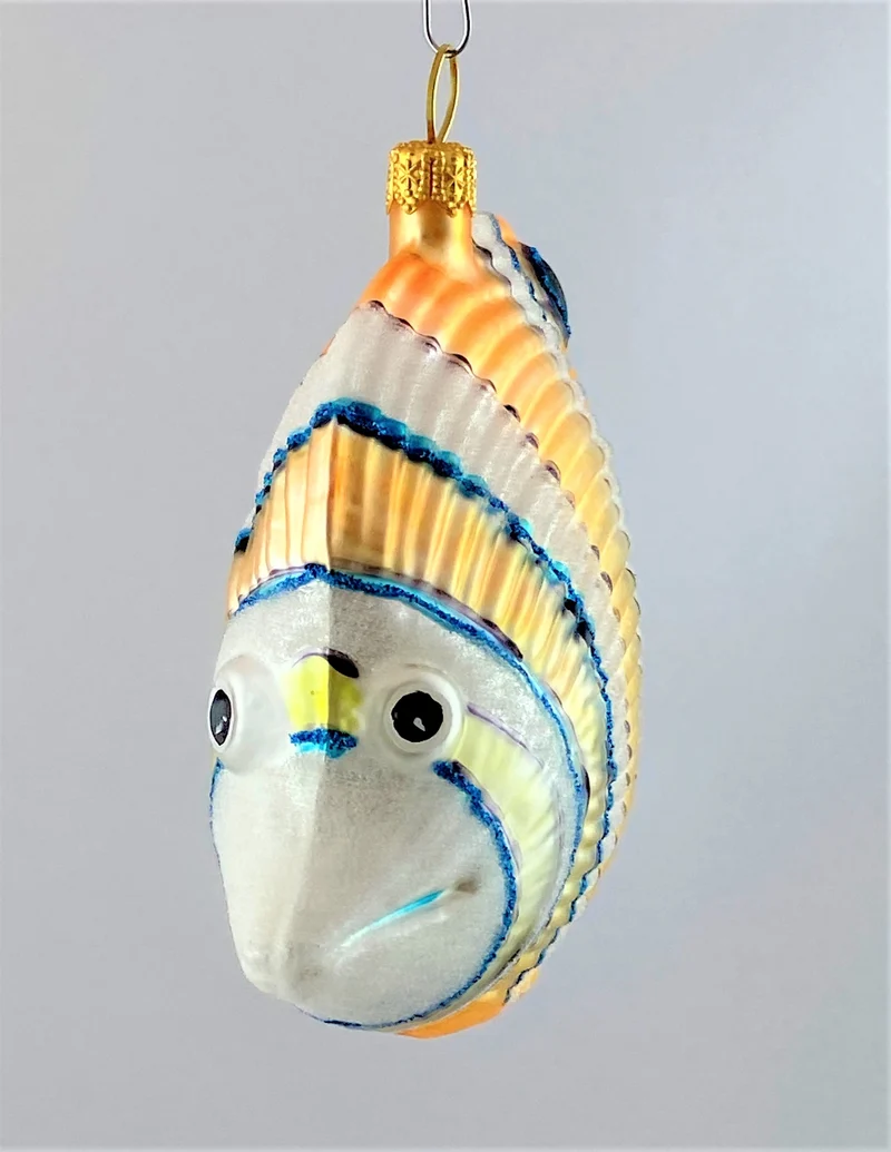Doktorfisch mit blauer Flosse