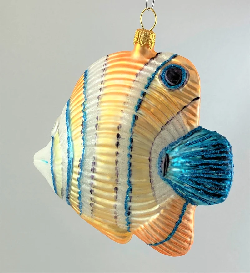 Doktorfisch mit blauer Flosse