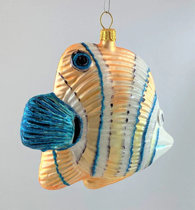 Doktorfisch mit blauer Flosse