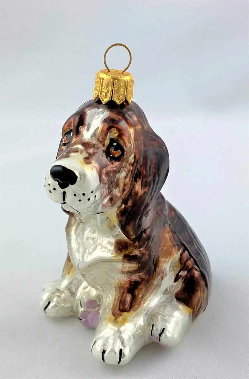 Basset