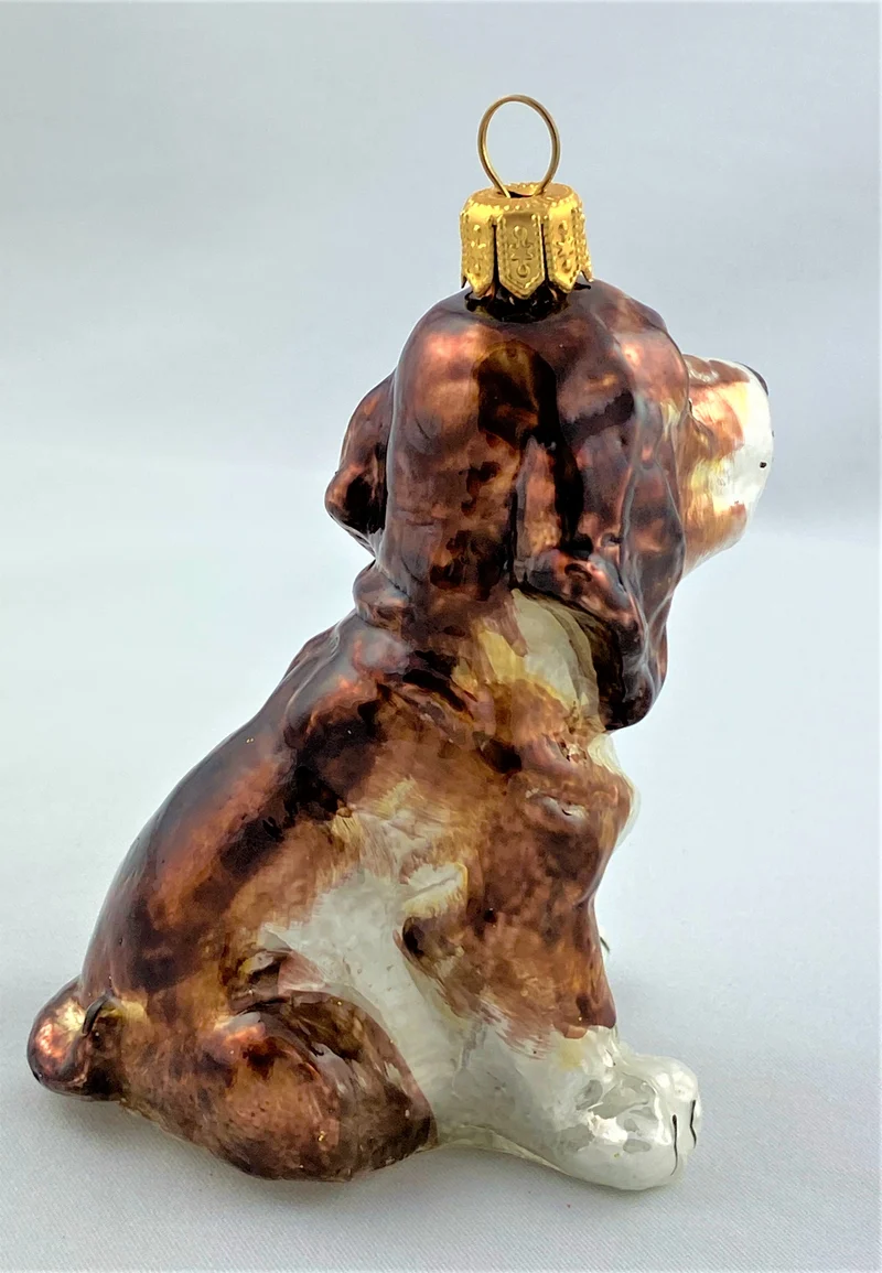 Basset