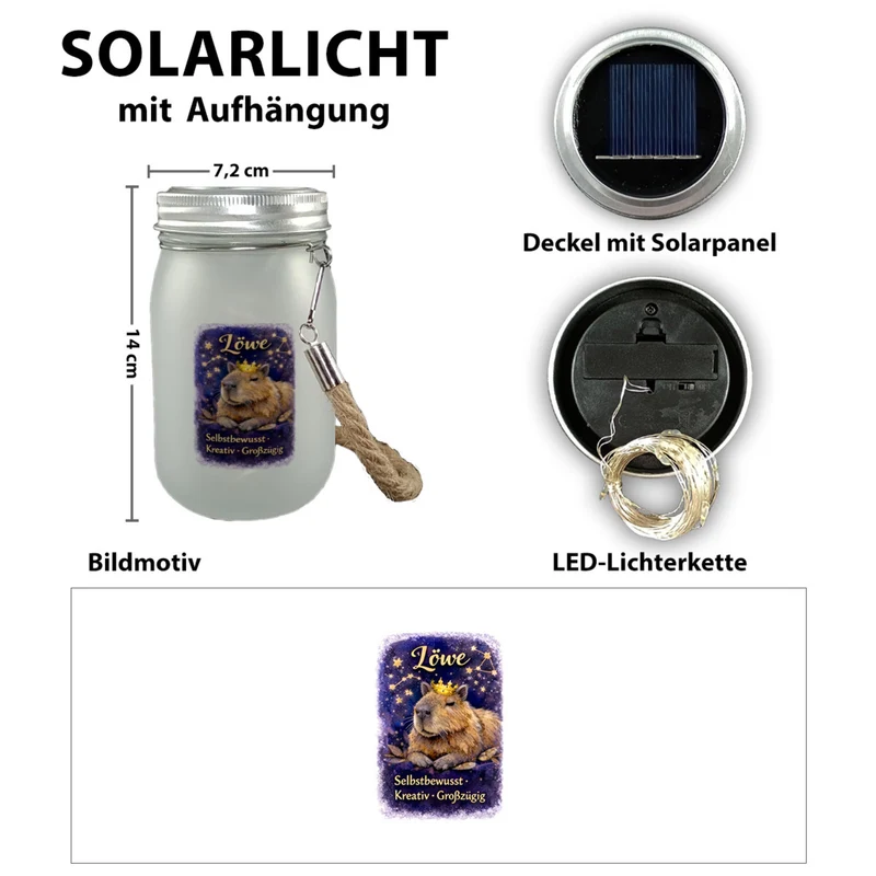 Löwe Sternzeichen Cabybara Solarlicht für Astrologie Fans