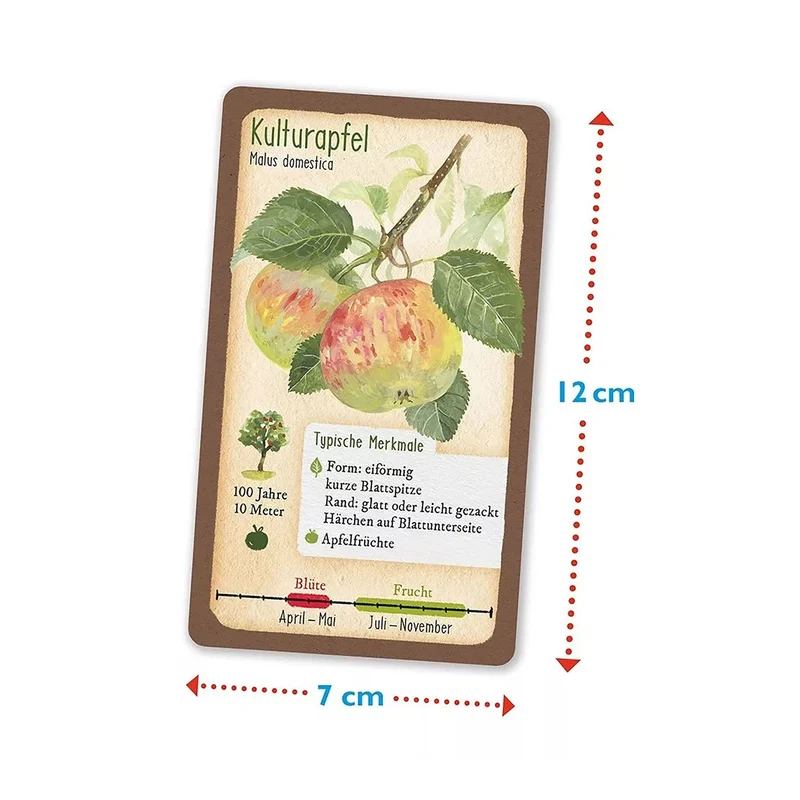 Tour durch die Natur - Unsere heimischen Bäume