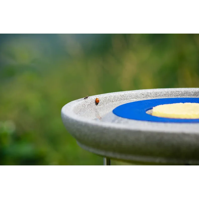 Insektentränke aus Keramik