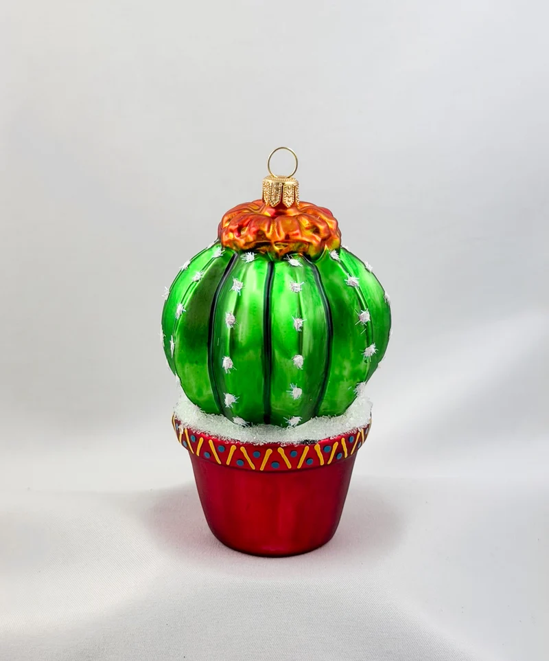 Blühender Kaktus im Blumentopf